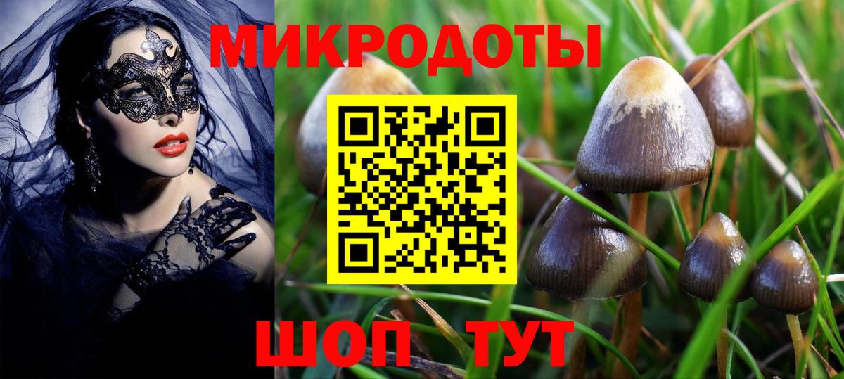 Галлюциногенные грибы MAGIC MUSHROOMS Михайловка