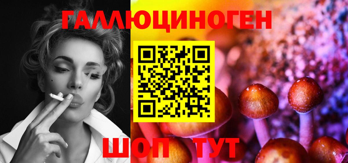 Псилоцибиновые грибы MAGIC MUSHROOMS  Вход с VPN  Михайловка 