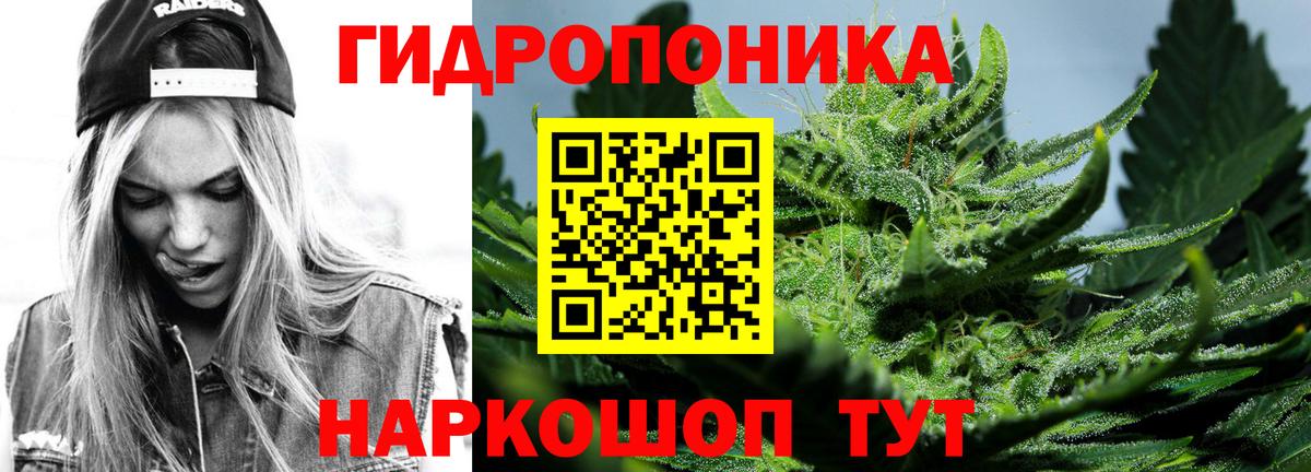 Михайловка  Канабис White Widow  Канабис планчик  Вход с VPN  Канабис Bruce Banner  Бошки марихуана сатива 